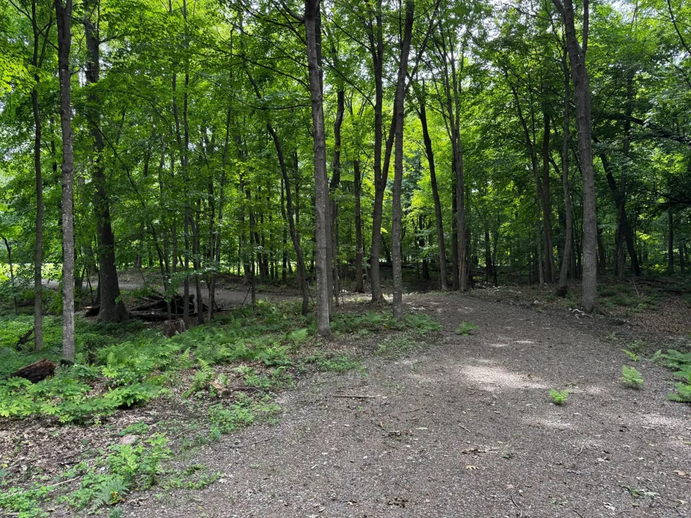 XXX County Road I Balsam Lake, WI 54810