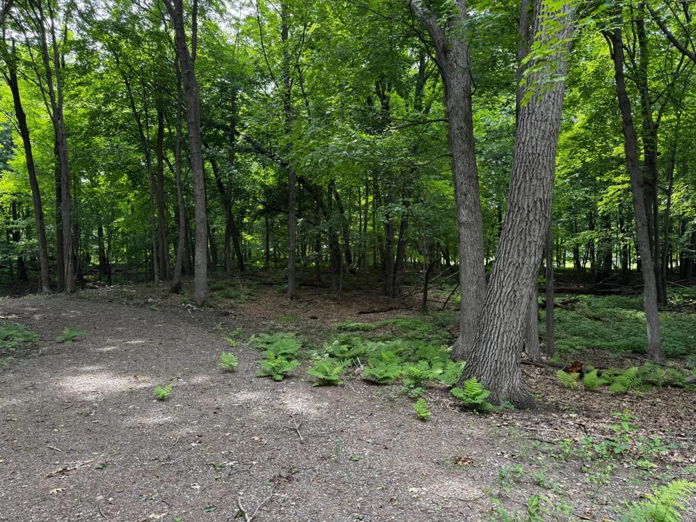 XXX County Road I Balsam Lake, WI 54810