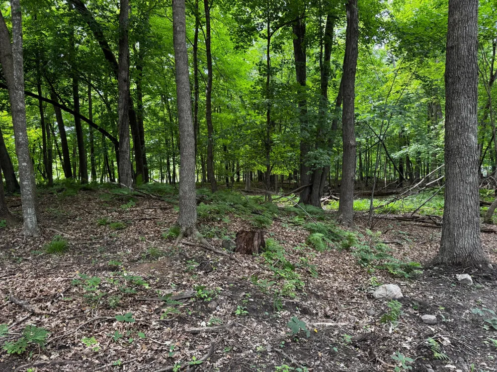 XXX County Road I Balsam Lake, WI 54810