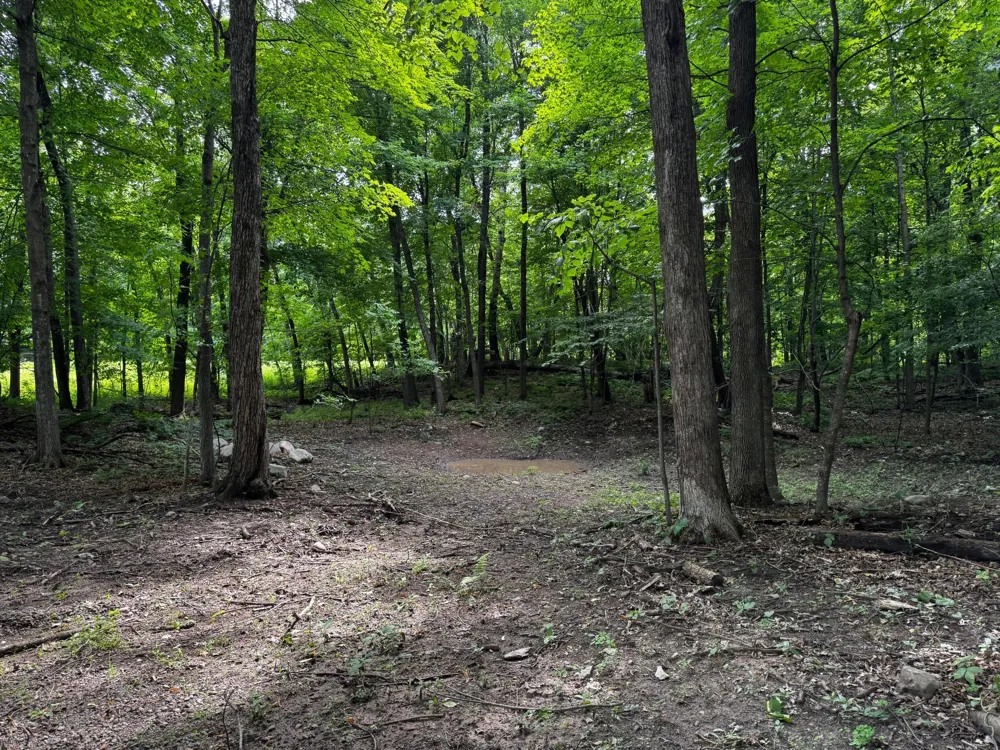 XXX County Road I Balsam Lake, WI 54810