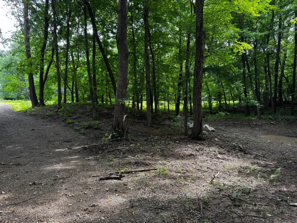 XXX County Road I Balsam Lake, WI 54810