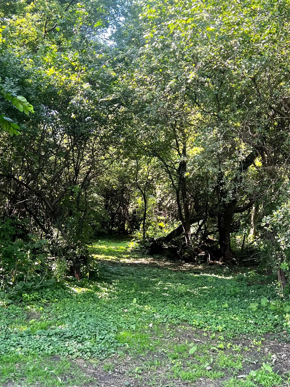 2328 550th Street Granite Falls, MN 56241