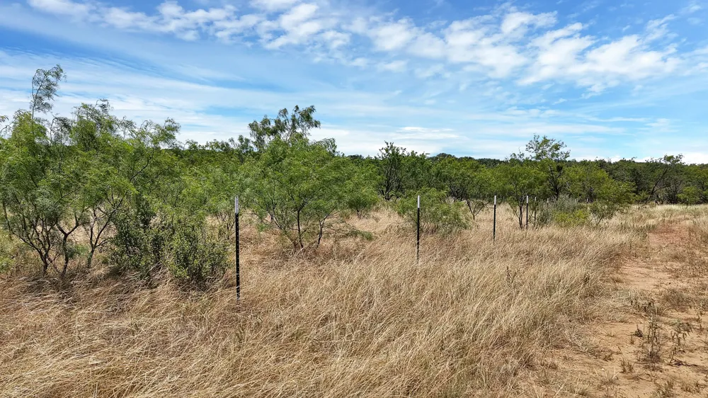 County Road 136 #59 Ranger, TX 76424