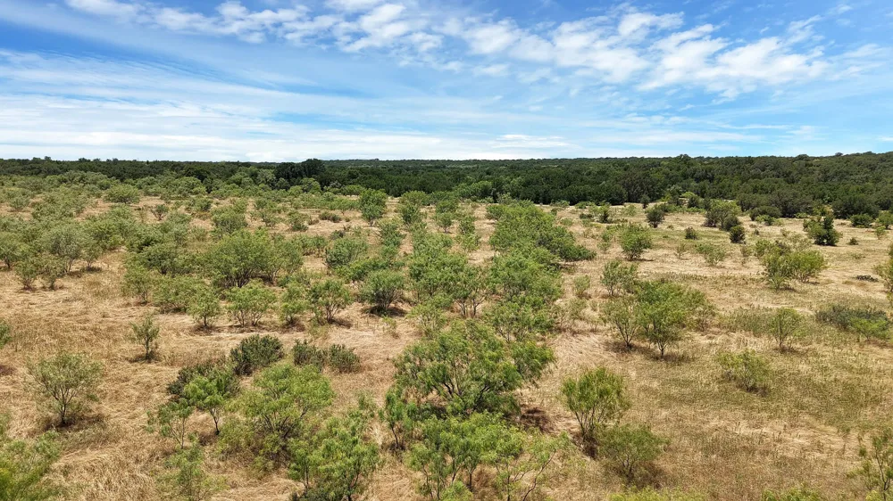 County Road 136 #59 Ranger, TX 76424