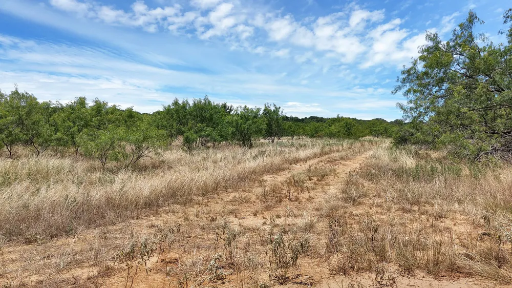County Road 136 #59 Ranger, TX 76424