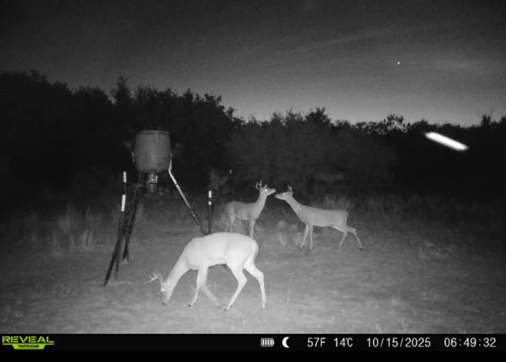 County Road 136 #59 Ranger, TX 76424