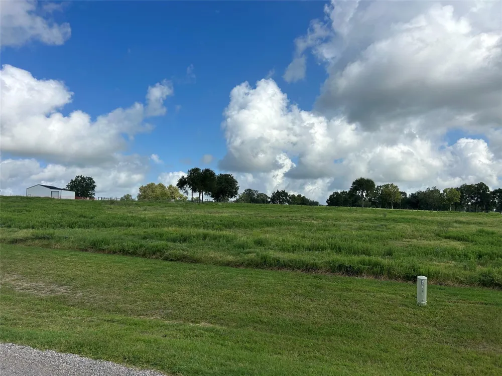 10549 Sunny Meadow Drive Chappell Hill, TX 77426
