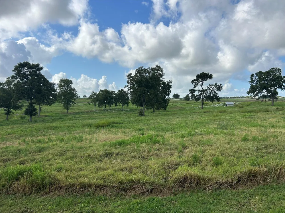 10549 Sunny Meadow Drive Chappell Hill, TX 77426