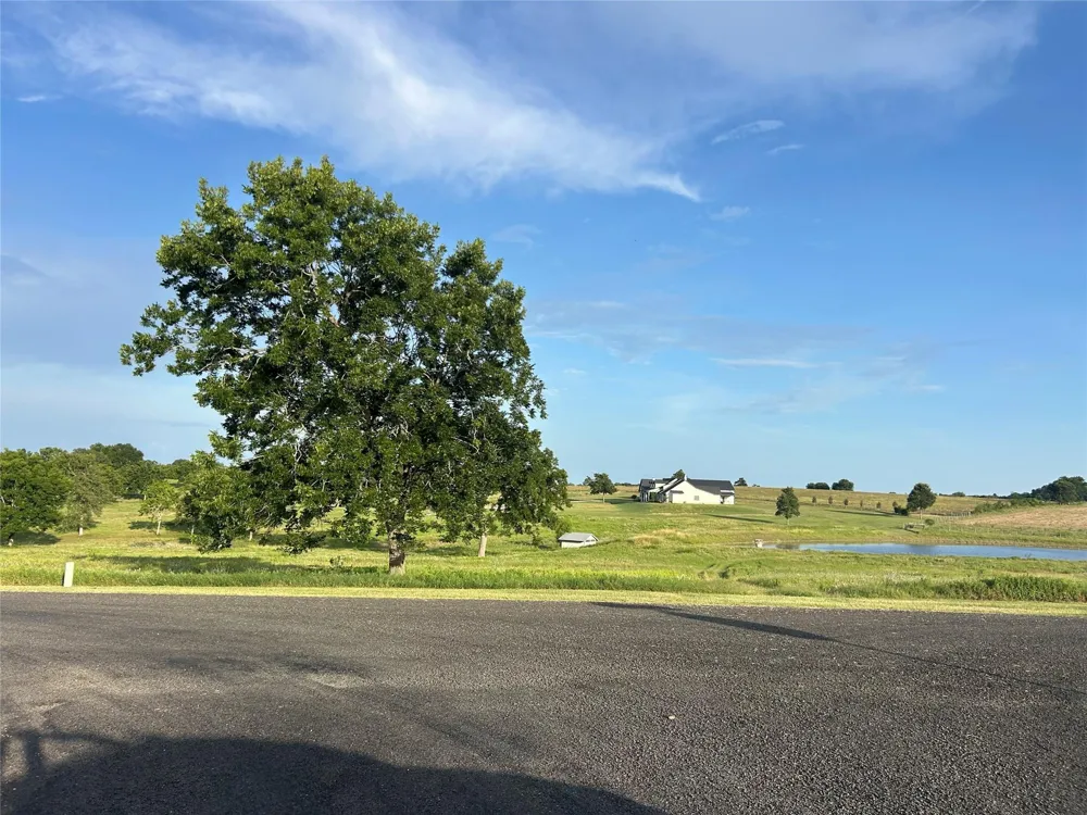 10549 Sunny Meadow Drive Chappell Hill, TX 77426