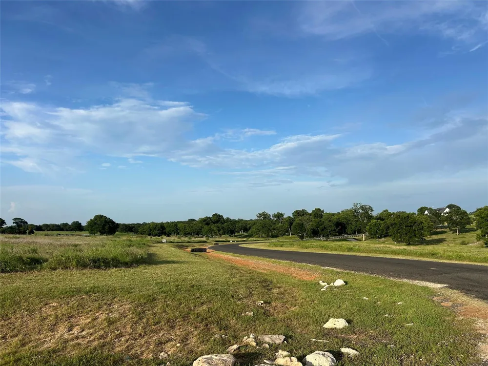 10549 Sunny Meadow Drive Chappell Hill, TX 77426