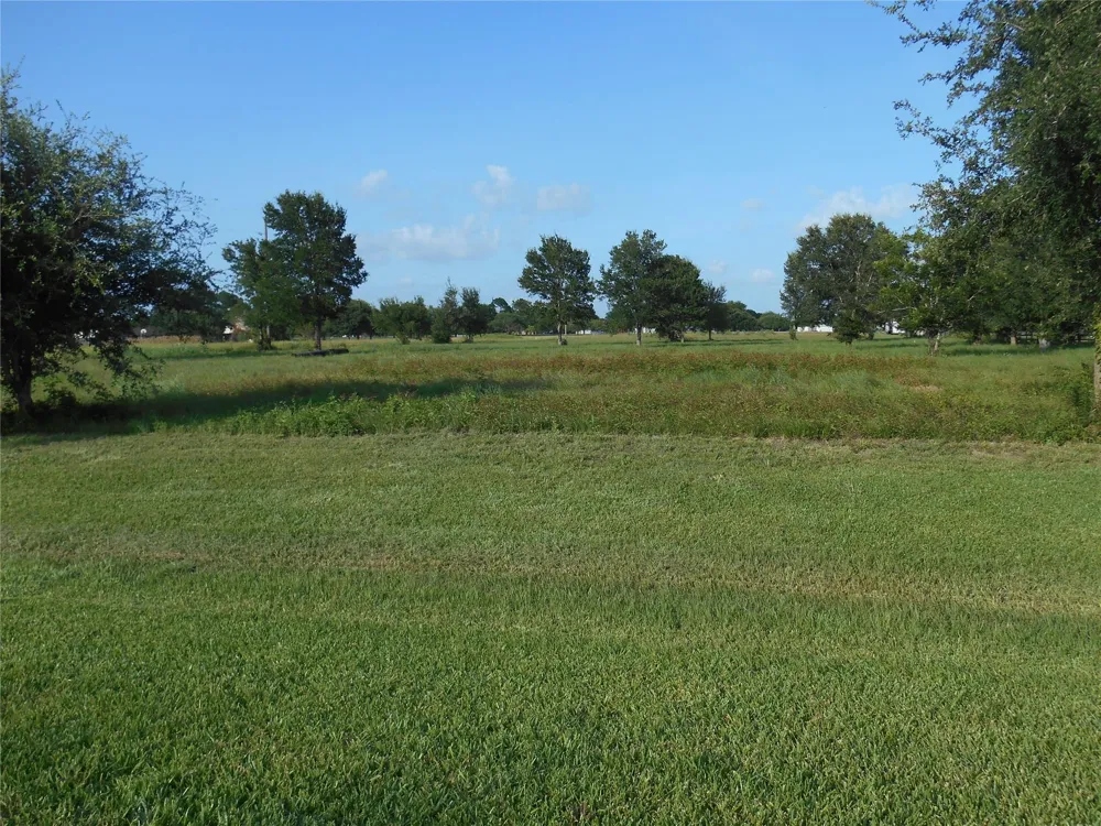 Meadow Wood Lane Sealy, TX 77474