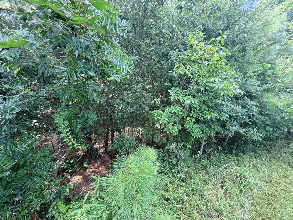 0 Ghea Manchester, TN 37355