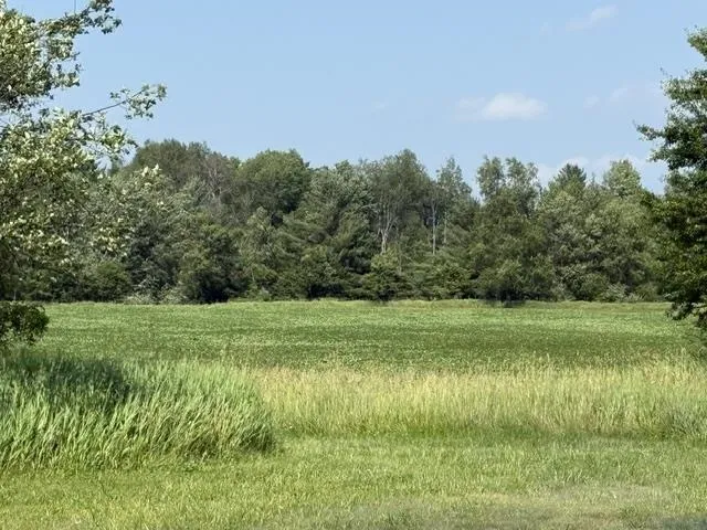 5251 M-55 Logan Township, MI 48739