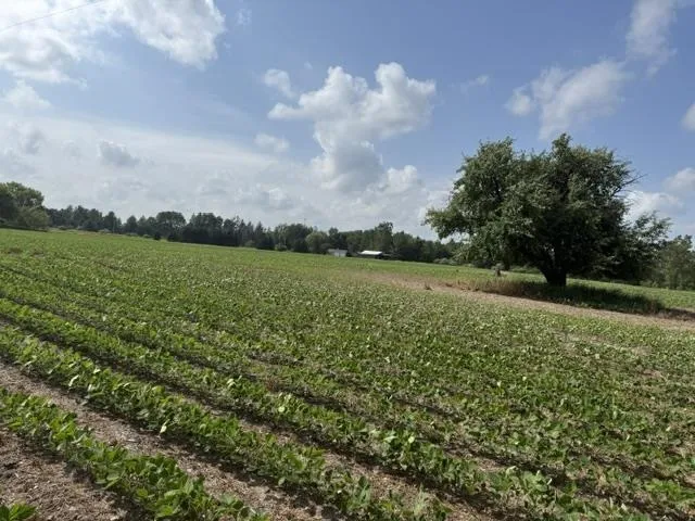 5251 M-55 Logan Township, MI 48739