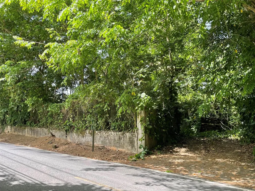 PR 176 KM6.6 CUPEY ALTO San Juan, PR 00926
