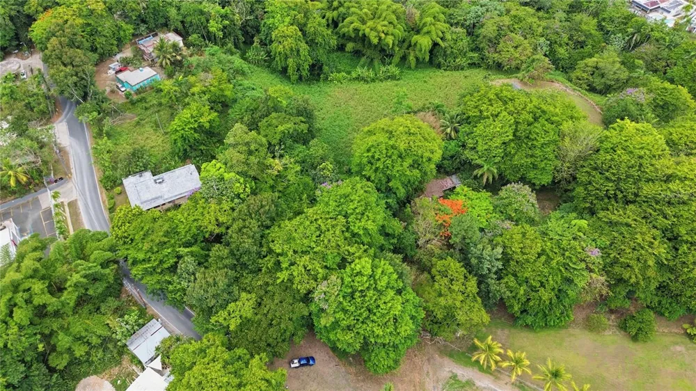 PR 176 KM6.6 CUPEY ALTO San Juan, PR 00926