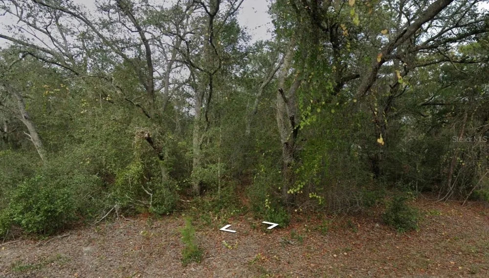 FISHER WAY DR LOT 16 Ocklawaha, FL 32179
