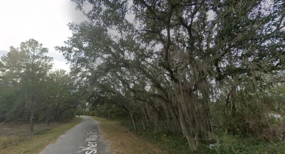 FISHER WAY DR LOT 16 Ocklawaha, FL 32179