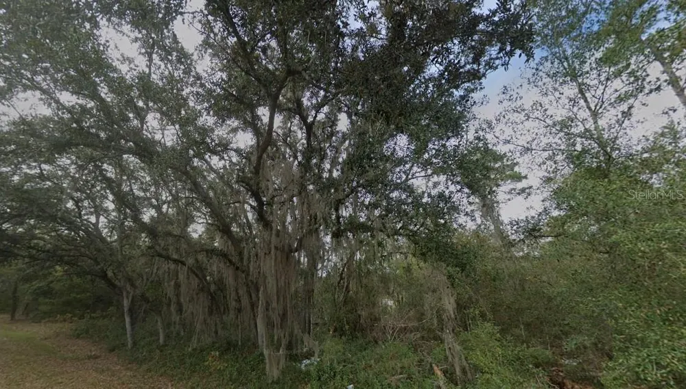 FISHER WAY DR LOT 16 Ocklawaha, FL 32179