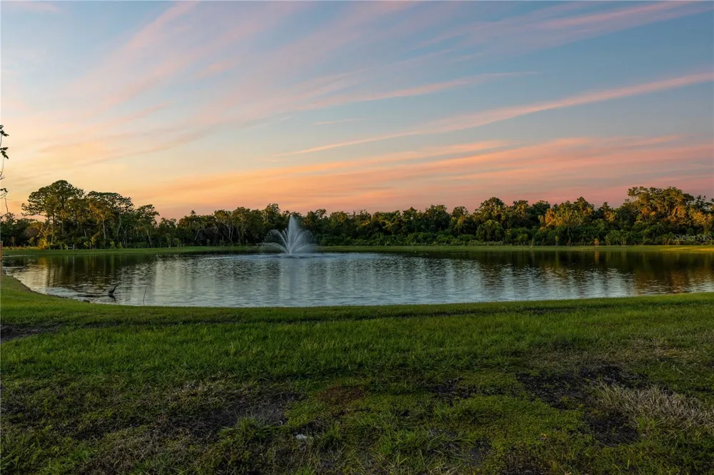 682 BOTTLEBRUSH WAY Tarpon Springs, FL 34688
