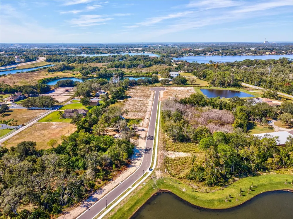 682 BOTTLEBRUSH WAY Tarpon Springs, FL 34688