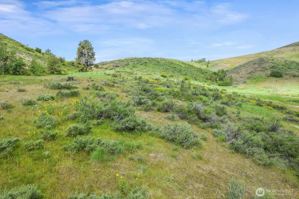 29 Heritage Rose Road Winthrop, WA 98862