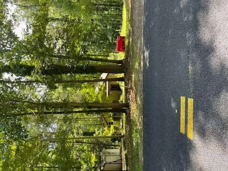 170 S Century Drive S Martin, GA 30557