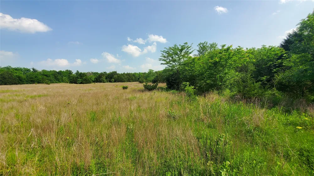 9999 Private Road #1194 Celeste, TX 75423