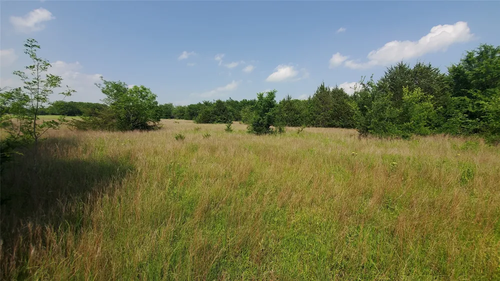 9999 Private Road #1194 Celeste, TX 75423
