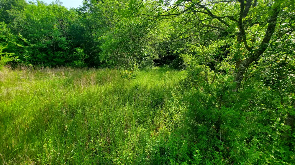 9999 Private Road #1194 Celeste, TX 75423