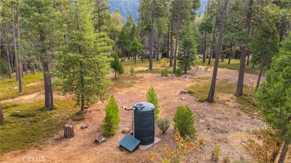 25833 Lyons Dam Road Twain Harte, CA 95383