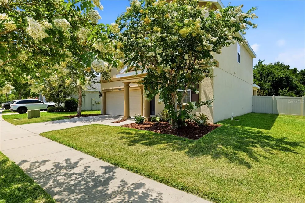 21439 SOUTHERN CHARM DRIVE Land O Lakes, FL 34637