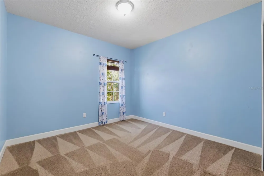 21439 SOUTHERN CHARM DRIVE Land O Lakes, FL 34637