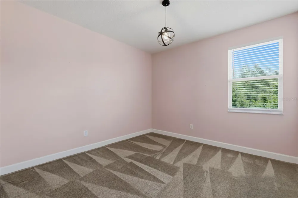 21439 SOUTHERN CHARM DRIVE Land O Lakes, FL 34637