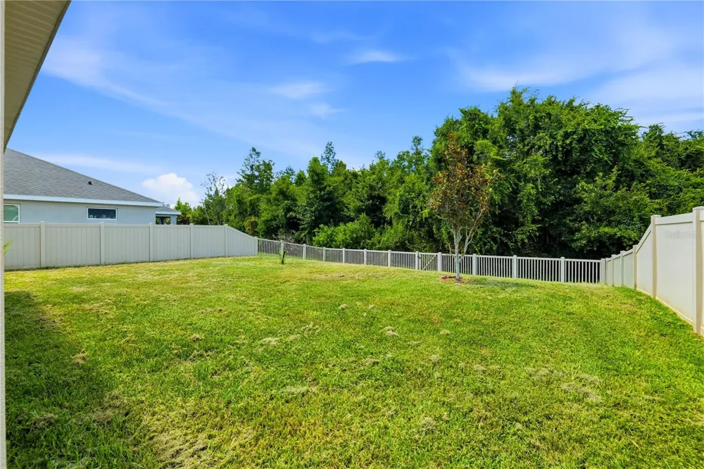 21439 SOUTHERN CHARM DRIVE Land O Lakes, FL 34637