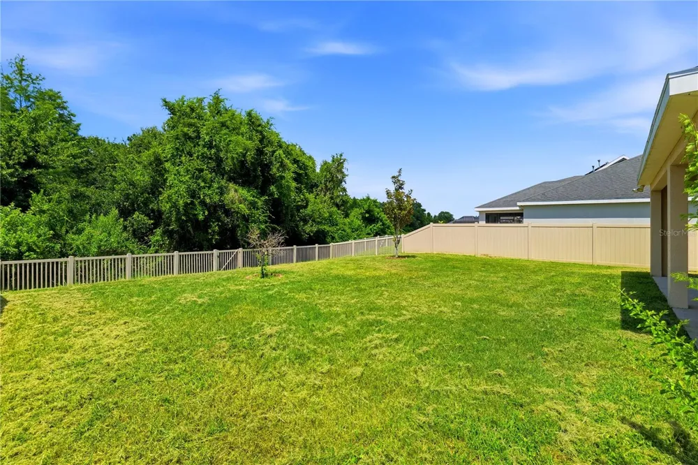 21439 SOUTHERN CHARM DRIVE Land O Lakes, FL 34637