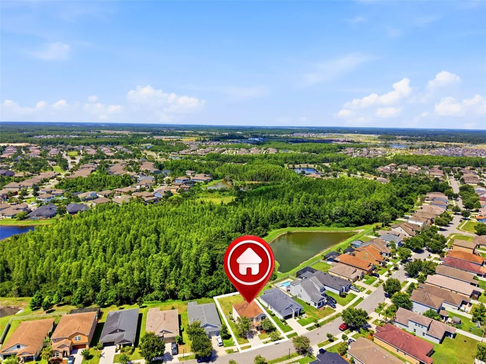 21439 SOUTHERN CHARM DRIVE Land O Lakes, FL 34637