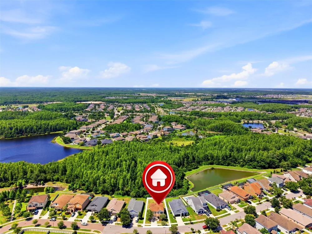 21439 SOUTHERN CHARM DRIVE Land O Lakes, FL 34637
