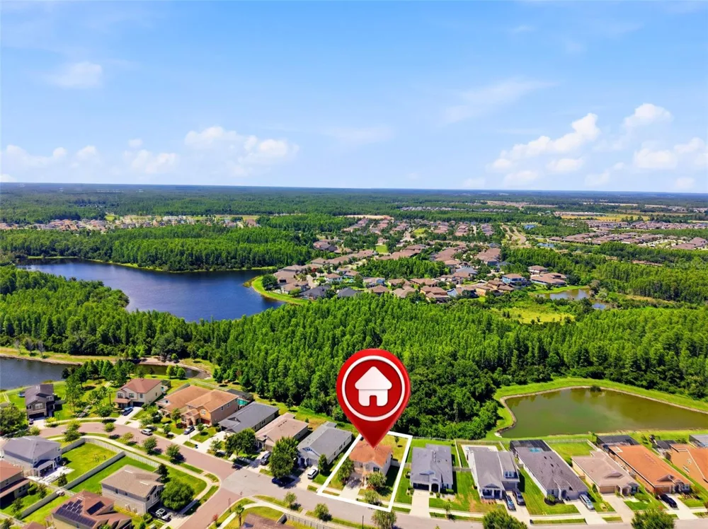 21439 SOUTHERN CHARM DRIVE Land O Lakes, FL 34637