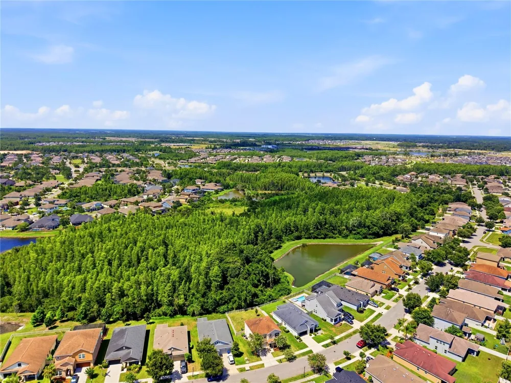 21439 SOUTHERN CHARM DRIVE Land O Lakes, FL 34637