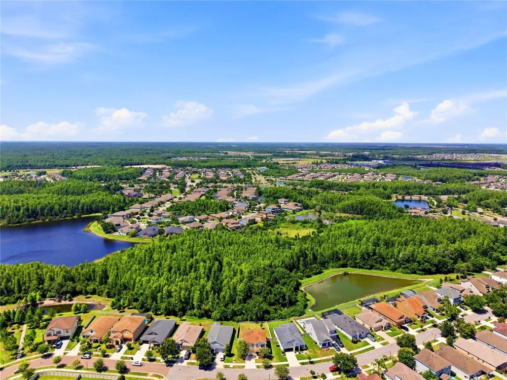 21439 SOUTHERN CHARM DRIVE Land O Lakes, FL 34637