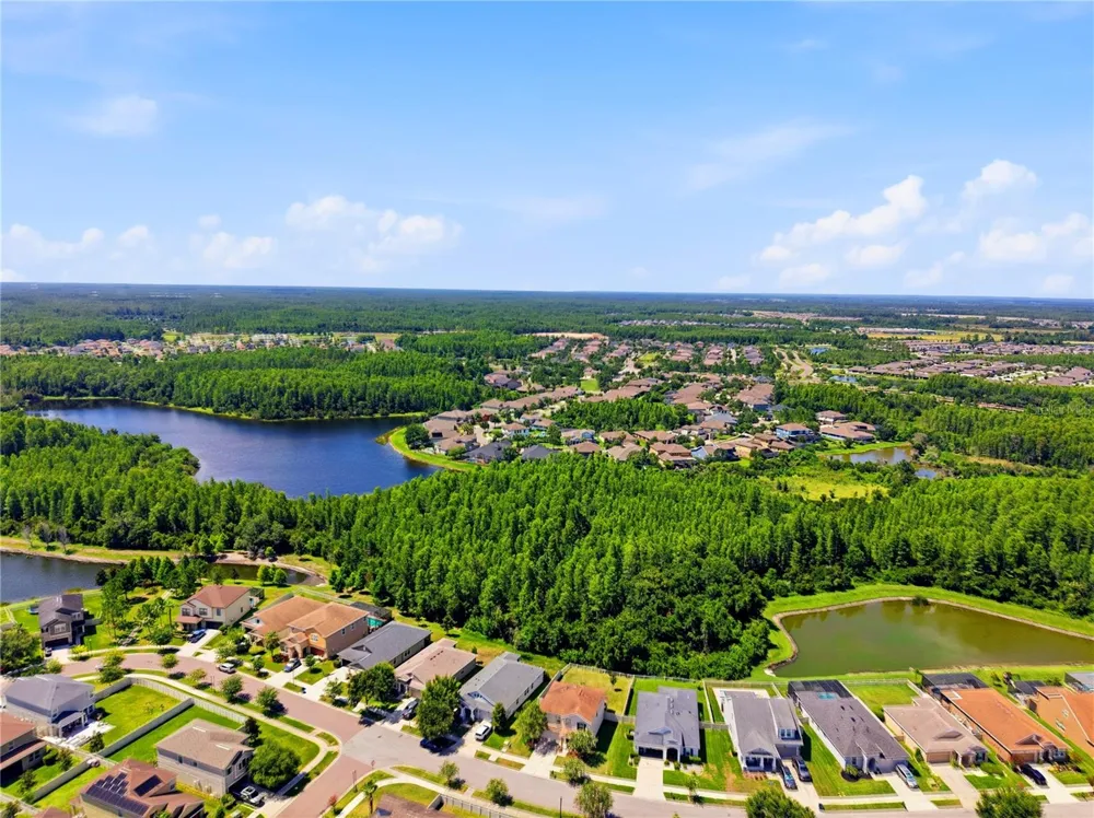 21439 SOUTHERN CHARM DRIVE Land O Lakes, FL 34637