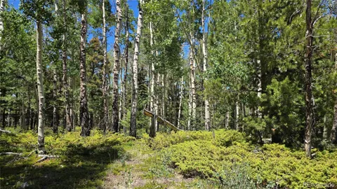 Lot 6748 Starkweather Road