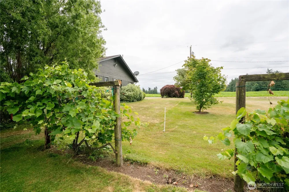 1724 Haveman Road Lynden, WA 98264
