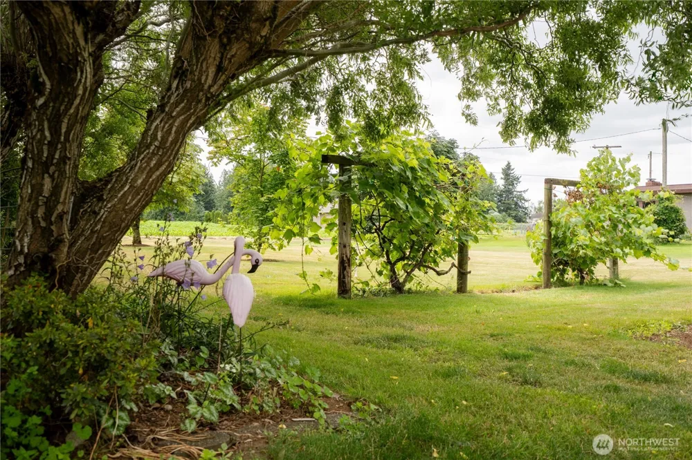 1724 Haveman Road Lynden, WA 98264