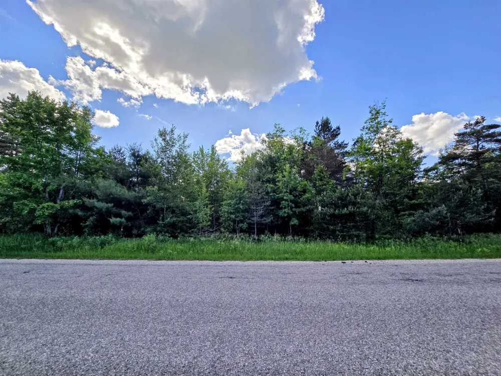 267 Pineview Drive Mancelona Township, MI 49659