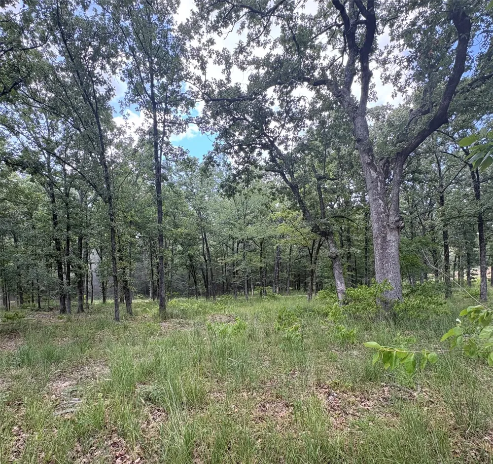 PVT 5948 ROAD ##23 Yantis, TX 75765