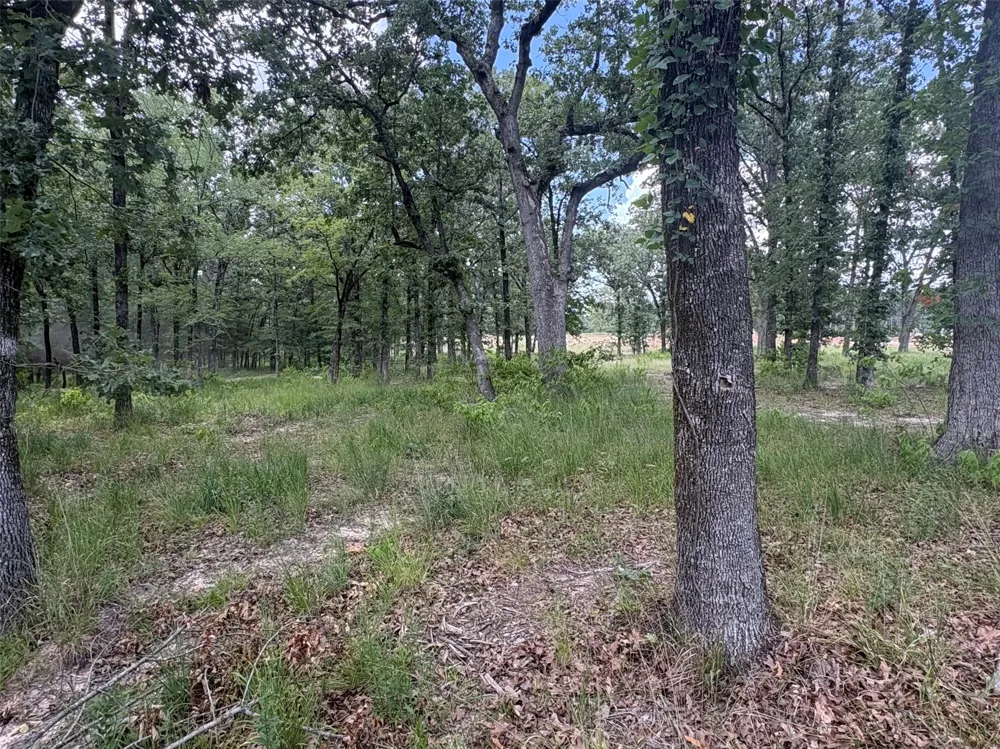 PVT 5948 ROAD ##23 Yantis, TX 75765