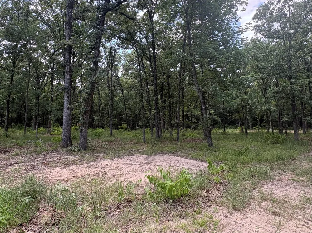 PVT 5948 ROAD ##23 Yantis, TX 75765