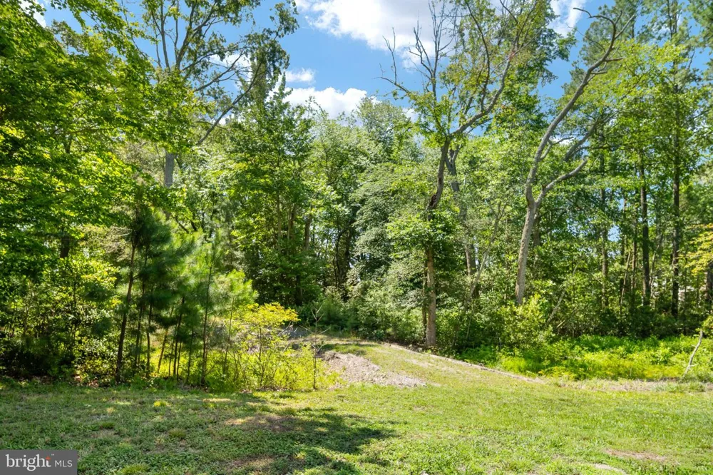 279 HARBOR DRIVE Reedville, VA 22539